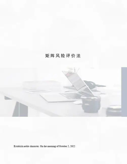 矩阵风险评价法