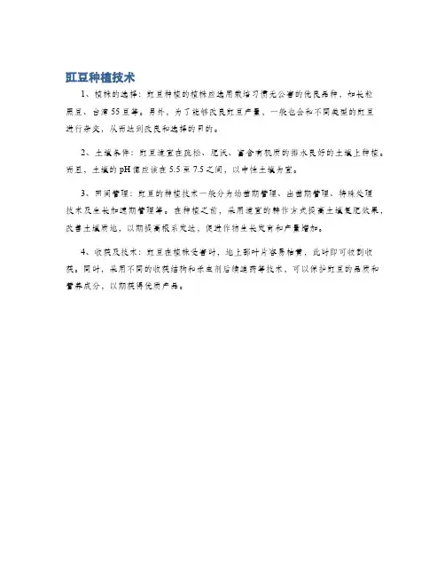 豇豆种植技术