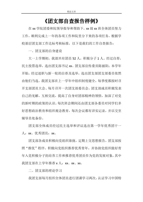 《团支部自查报告样例》