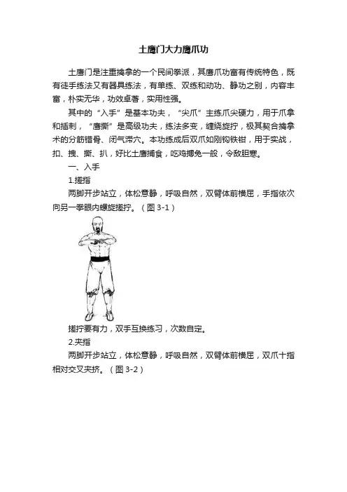 土鹰门大力鹰爪功