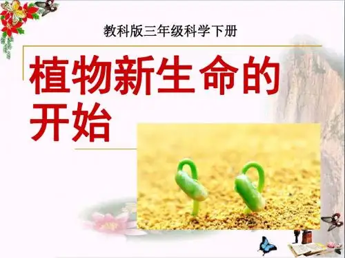 《植物新生命的开始》植物的生长变化 精品课件3(共18张)