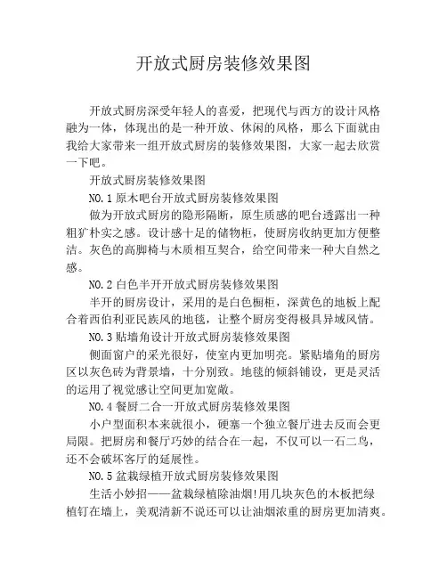 开放式厨房装修效果图