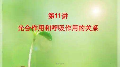 光合作用和呼吸作用的关系(一轮复习)ppt课件