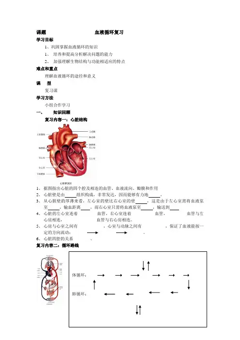 课题                    血液循环复习