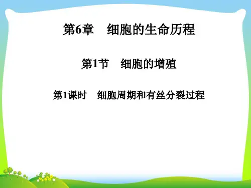 细胞周期和有丝分裂过程-课件