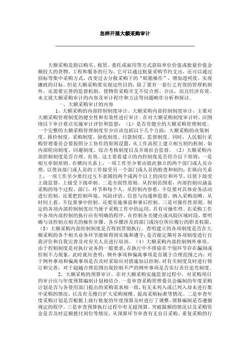 大额采购审计