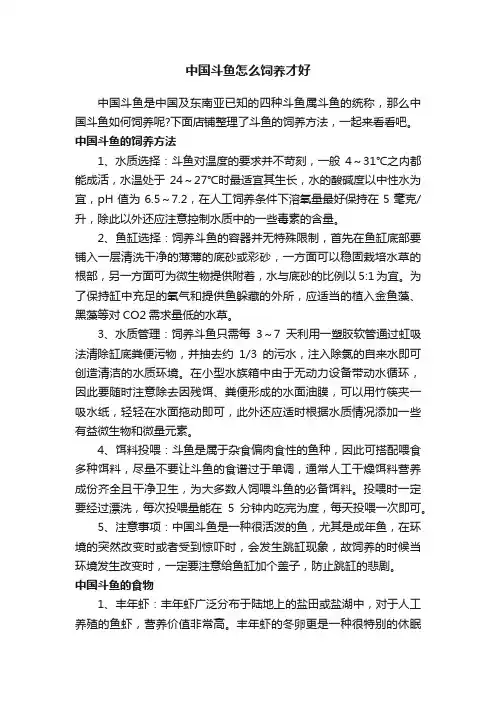 中国斗鱼怎么饲养才好