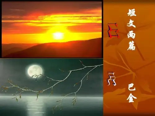 8短文两篇(巴金日月)