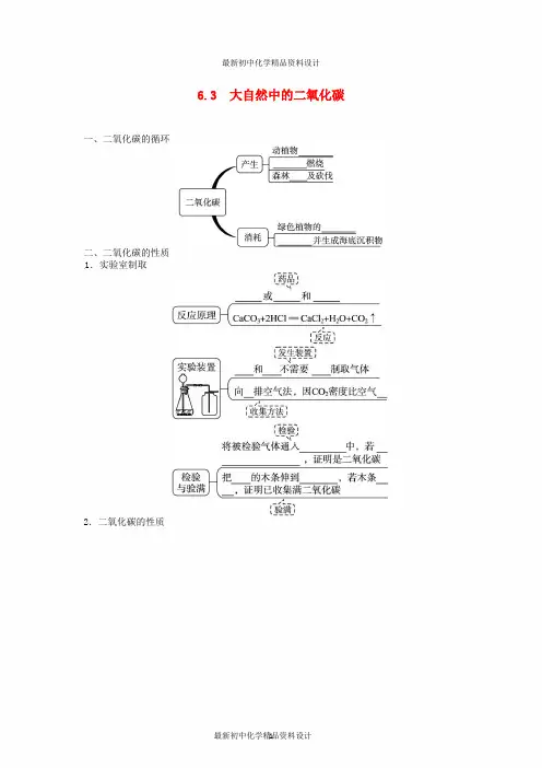 九年级化学上册 6.3 大自然中的二氧化碳复习 (新版)鲁教版