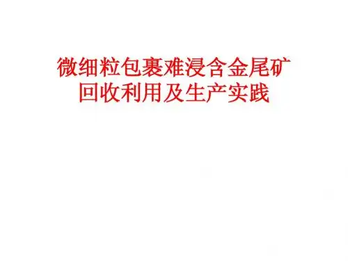 微细粒包裹难浸含金尾矿回收利用及生产实践-论文讲演稿