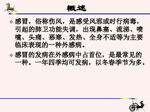 感冒的中医治疗PPT课件