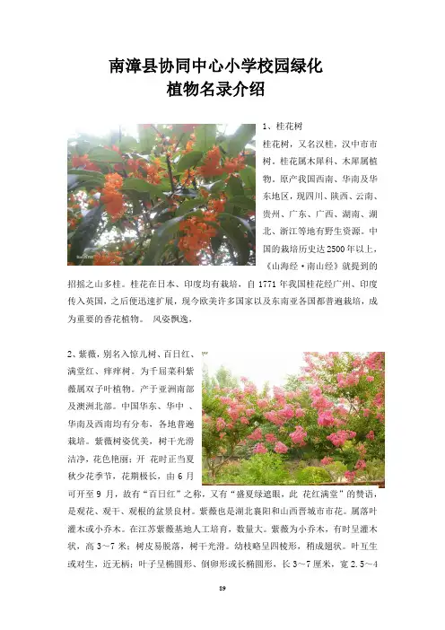 22南漳县协同中心小学校园绿化植物名录介绍要点