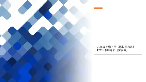 八年级生物上册《蚂蚁的通讯》PPT中考题练习(含答案)