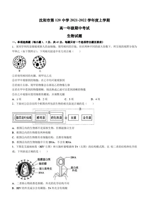 辽宁省沈阳市一二〇中2021-2022学年高一上学期期中生物试题
