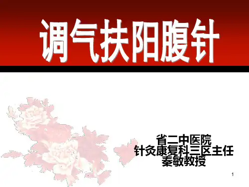 调气扶阳腹针PPT课件