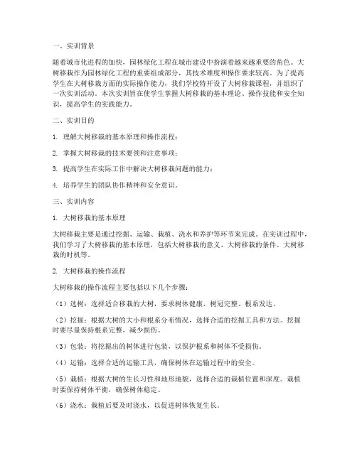 大树移栽课程实训报告