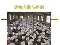 动物应激与控制