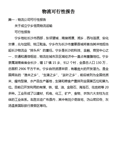 物流可行性报告