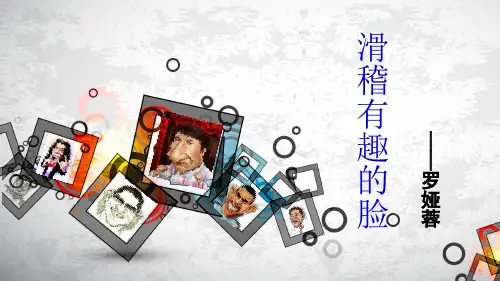 《滑稽有趣的脸3》ppt课件-20页文档资料