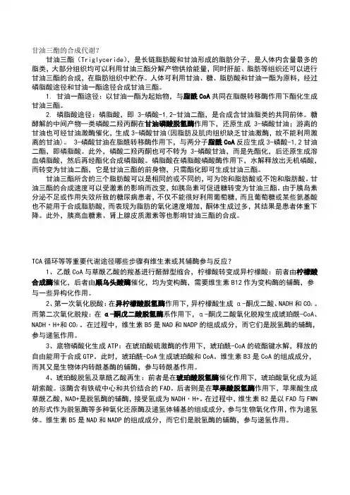 甘油三酯的合成代谢