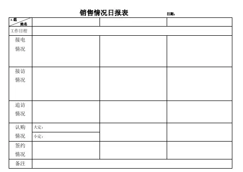 销售情况日报表