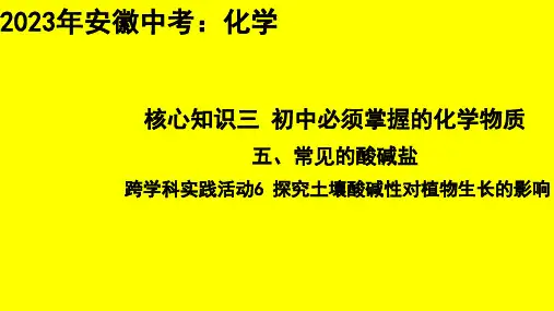 跨学科实践活动6 探究土壤酸碱性对植物生长的影响