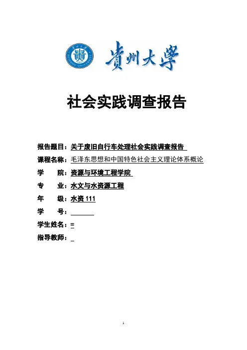 关于废旧自行车处理社会实践调查报告