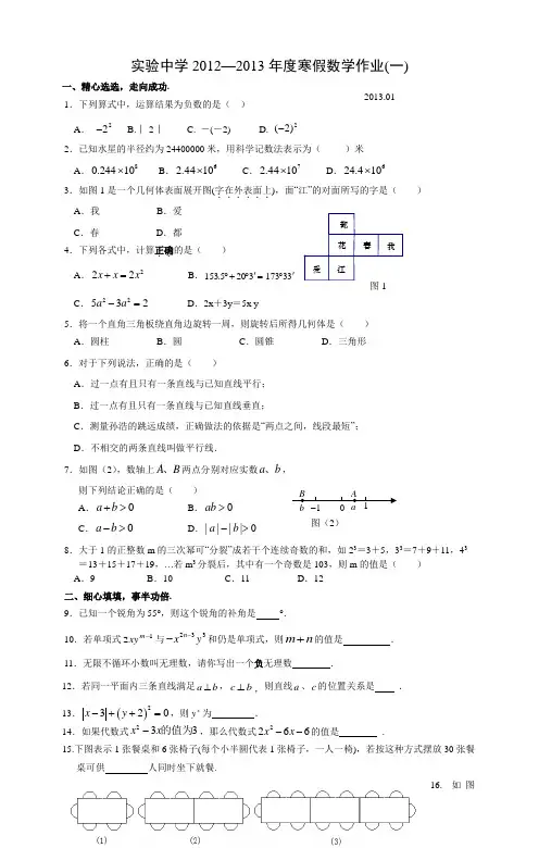 实验中学2012—2013年度寒假数学作业一