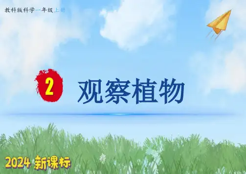 观察植物ppt课件
