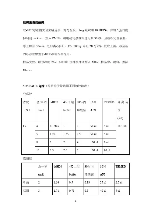 自己整理的western blot步骤