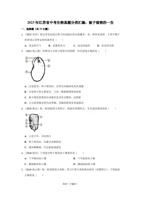 2023年江苏省中考生物真题分类汇编：被子植物的一生(附答案解析)