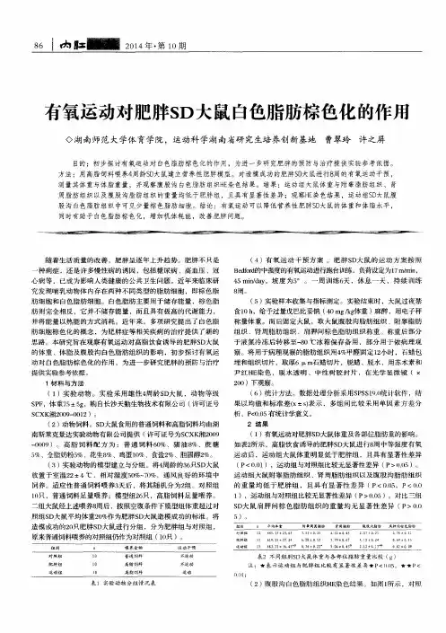 有氧运动对肥胖SD大鼠白色脂肪棕色化的作用