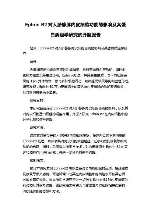 Ephrin-B2对人脐静脉内皮细胞功能的影响及其蛋白质组学研究的开题报告