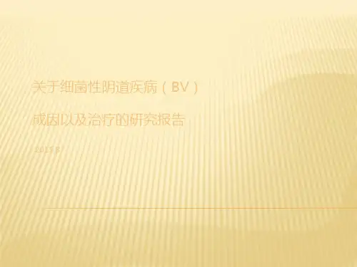 关于细菌性阴道疾病BV因以及治疗的研究报告ppt课件