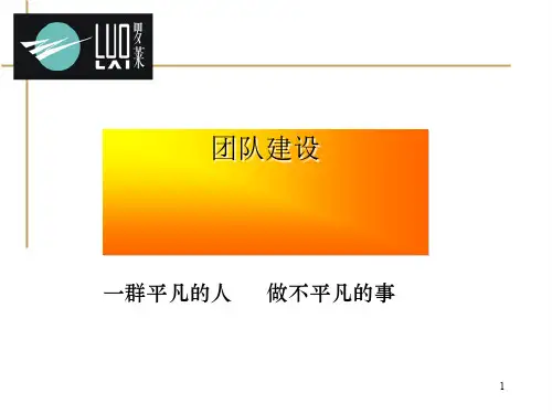 团队的定义及其构成