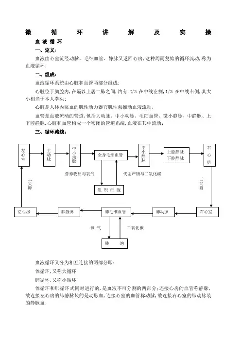 微循环讲解及实操