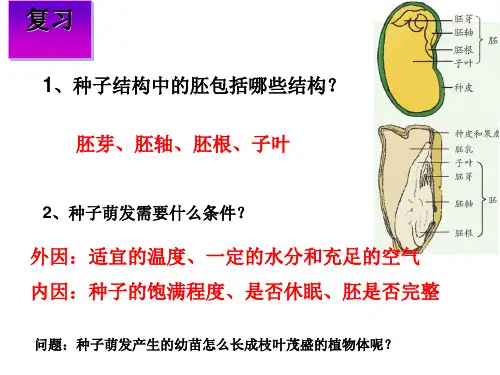 课件《植物的一生》优质课教学PPT2