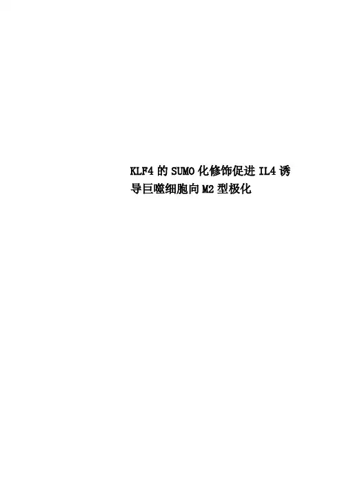雅KLF4的SUMO化修饰促进IL4诱导巨噬细胞向M2型极化