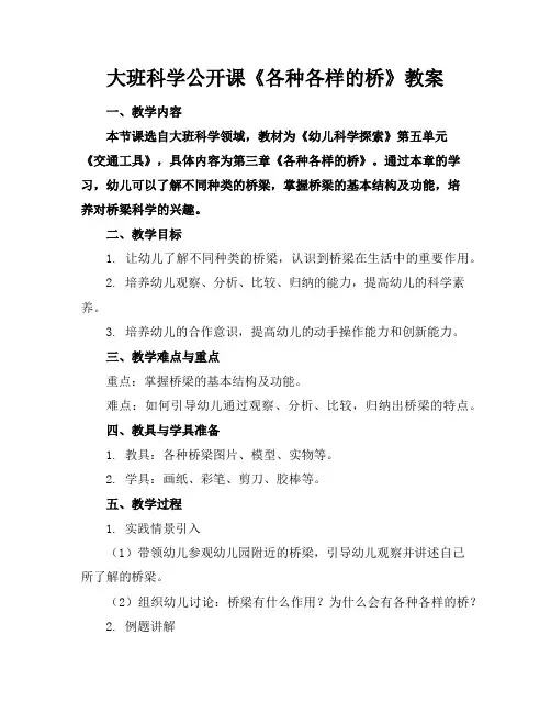 大班科学公开课《各种各样的桥》教案