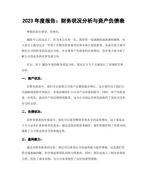 2023年度报告：财务状况分析与资产负债表