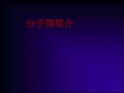 分子筛简介