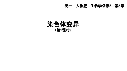 人教版高中生物必修第2册 第5章_第2节 染色体变异(第一课时 染色体数目的变异)