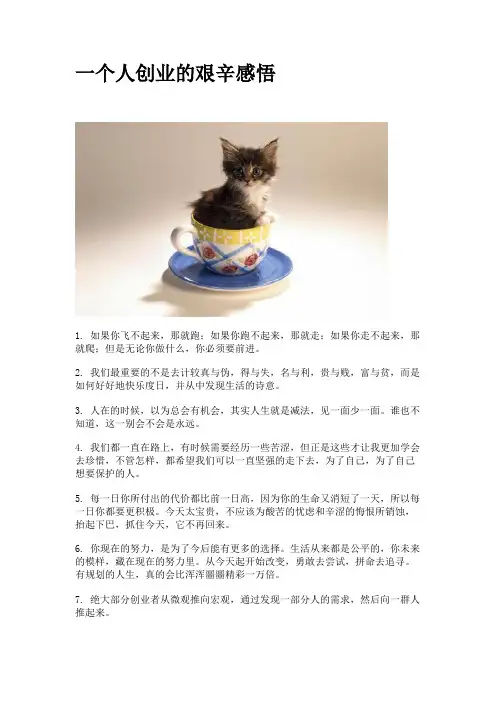 一个人创业的艰辛感悟