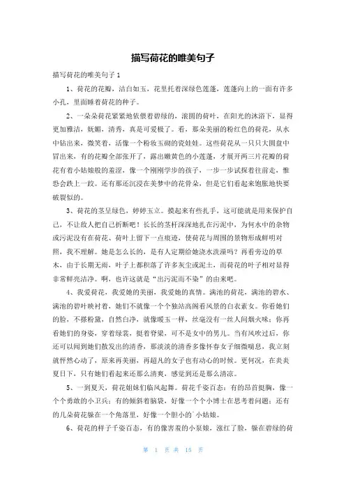 描写荷花的唯美句子