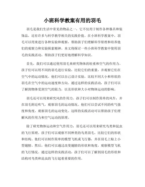 小班科学教案有用的羽毛