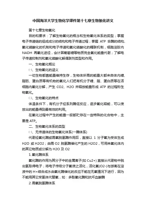 中国海洋大学生物化学课件第十七章生物氧化讲义