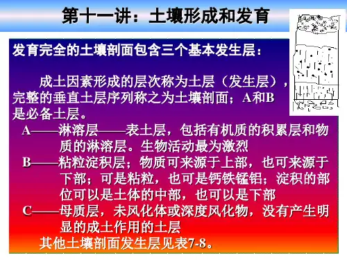 土壤结构
