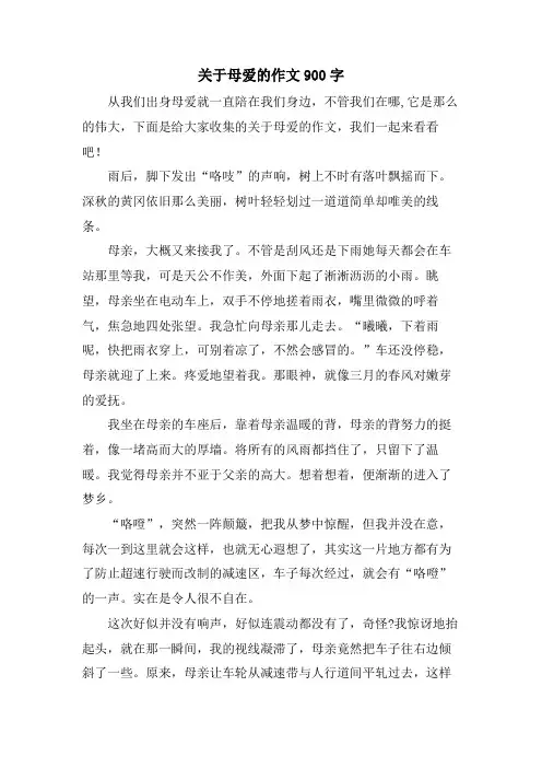 关于母爱的作文900字
