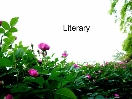 关于literature英语课自制ppt