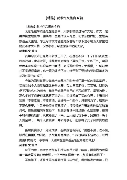 【精品】武术作文集合6篇